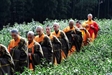 Kinh Tế Phật Giáo